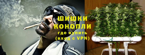 каннабис Богданович
