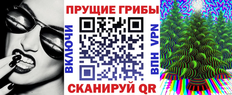 даркнет сайт  блэк спрут ссылки  Галлюциногенные грибы MAGIC MUSHROOMS  Вяземский 